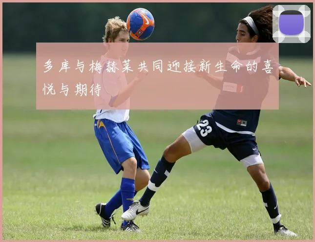 多库与梅赫莱共同迎接新生命的喜悦与期待