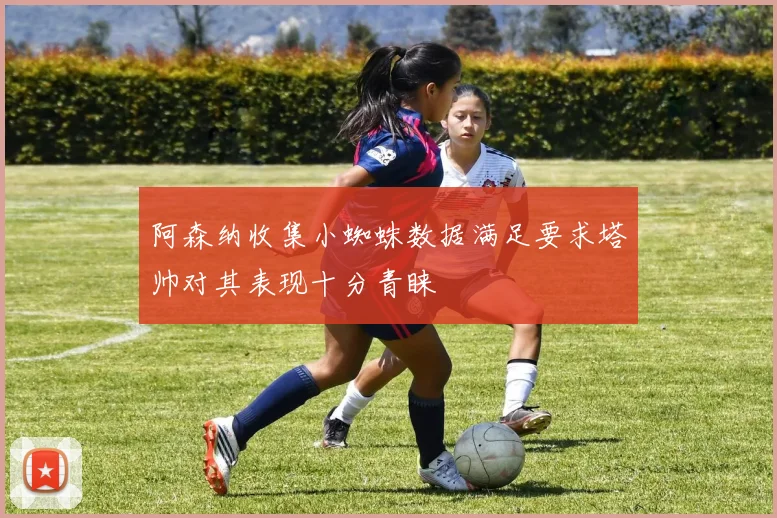 阿森纳收集小蜘蛛数据满足要求塔帅对其表现十分青睐